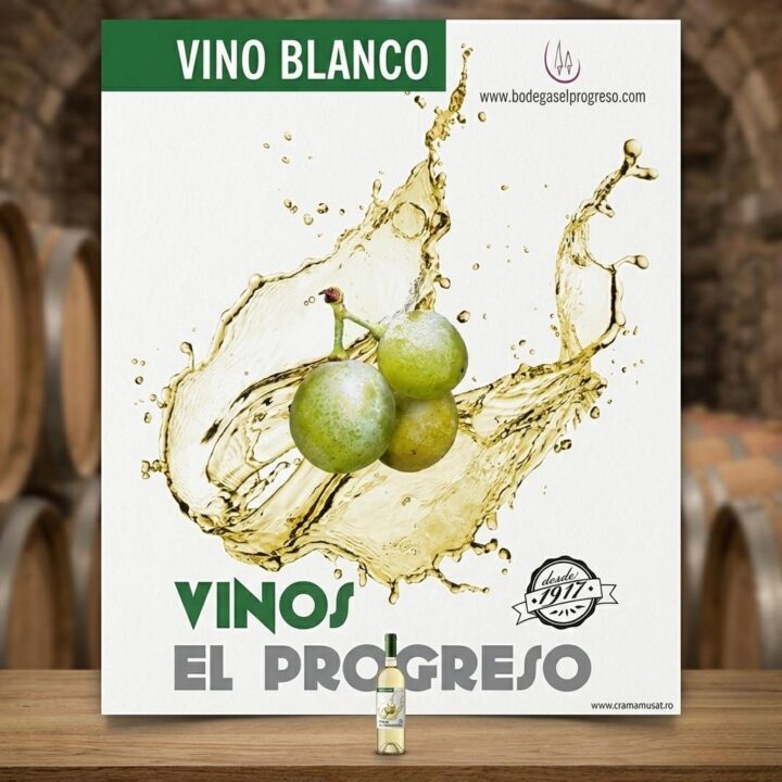 vin alb sec verdejo